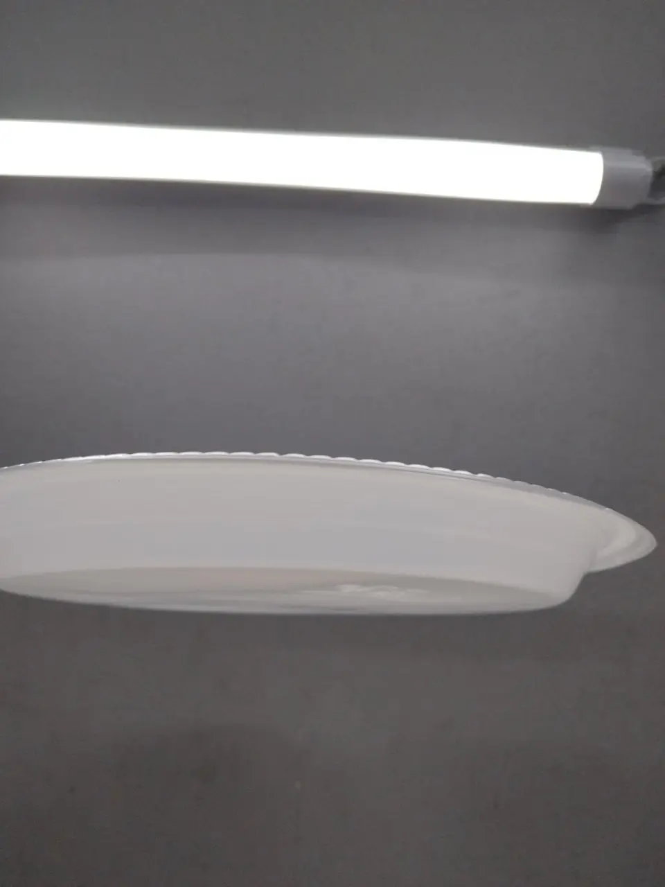 TP-10 Disposable Plastic Plate 10 Inch