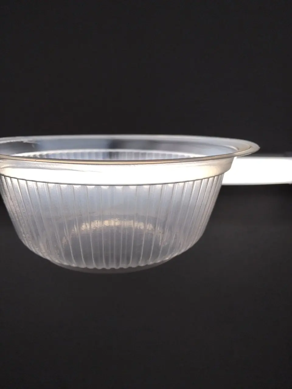 Disposable Large Plastic Bowl