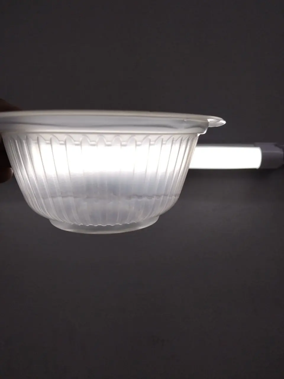 Disposable Medium Plastic Bowl