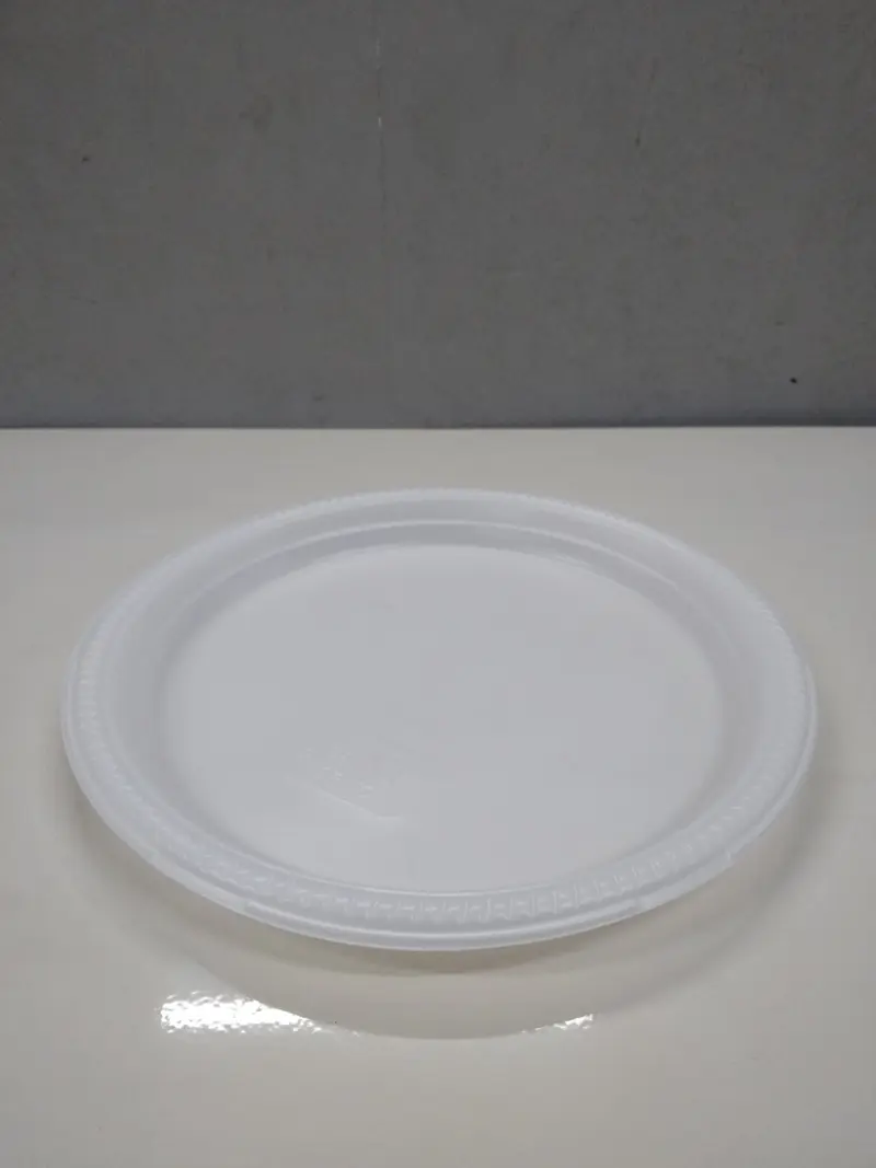 TP-10 Disposable Plastic Plate 10 Inch